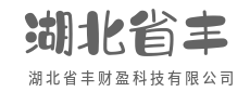 极速连接，零时差见未来-湖北省丰财盈科技有限公司